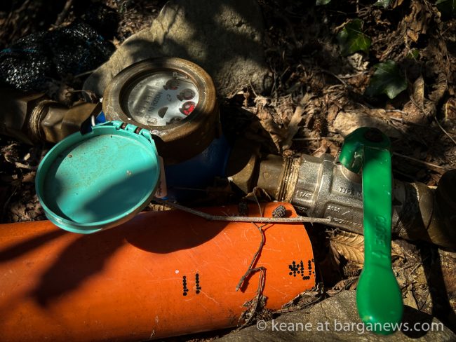 images from barga -3313