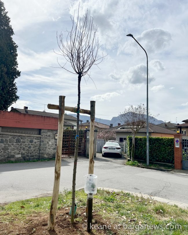 images from barga –4