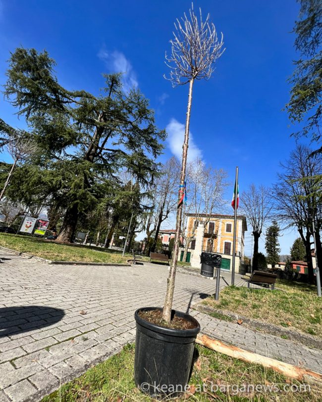 images from barga –5