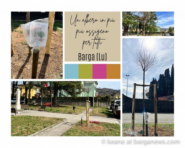 images from barga –6