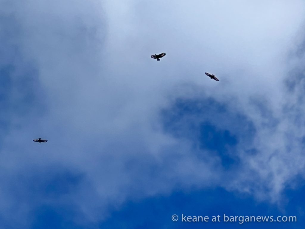 Barga Daily Image 4th April 2023