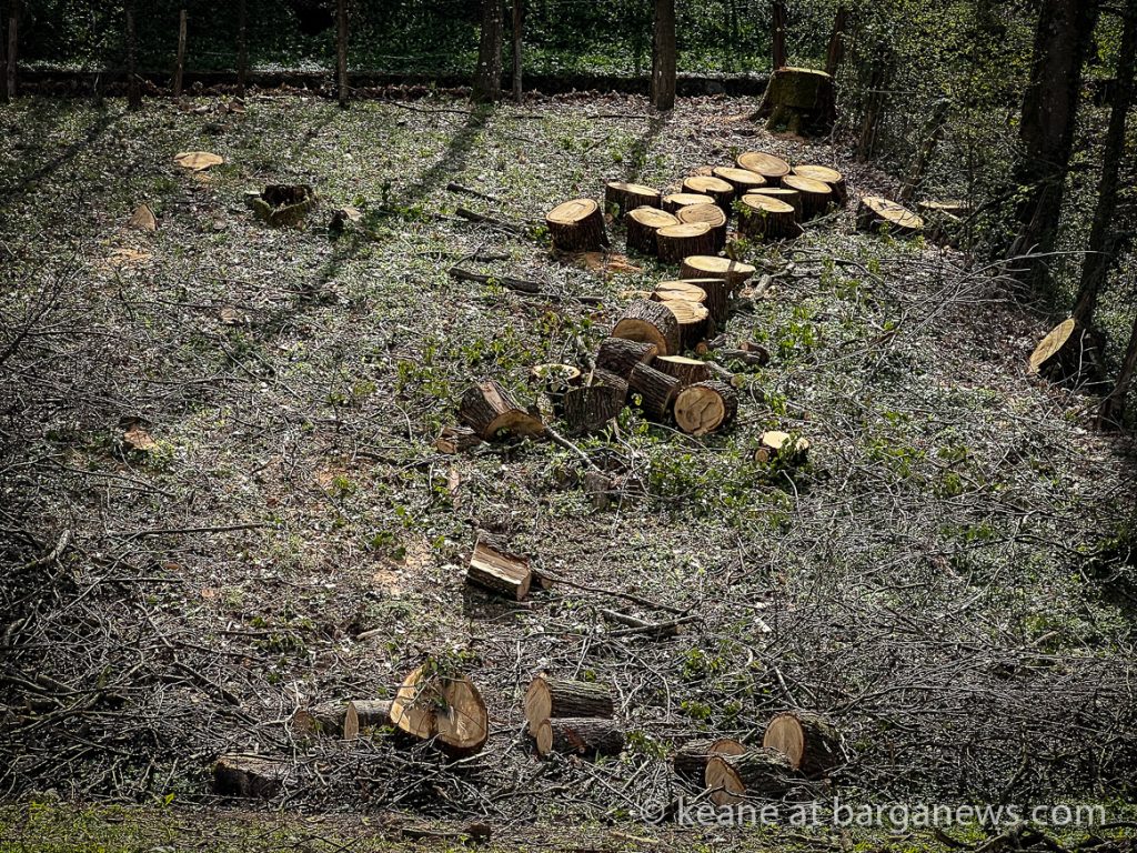 Barga Daily Image 5th April 2023