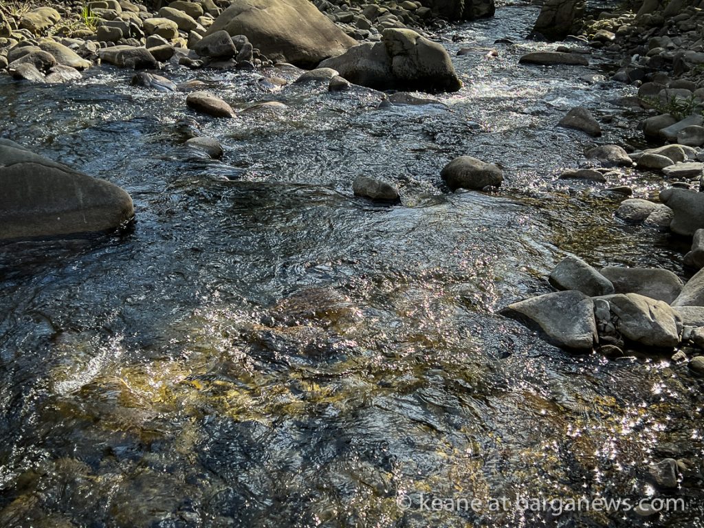 Barga Daily Image 11th April 2023