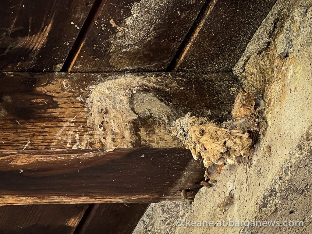 Barga Daily Image 14th April 2023