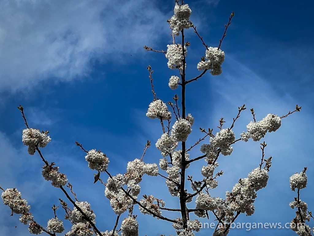 Barga Daily Image 13th April 2023