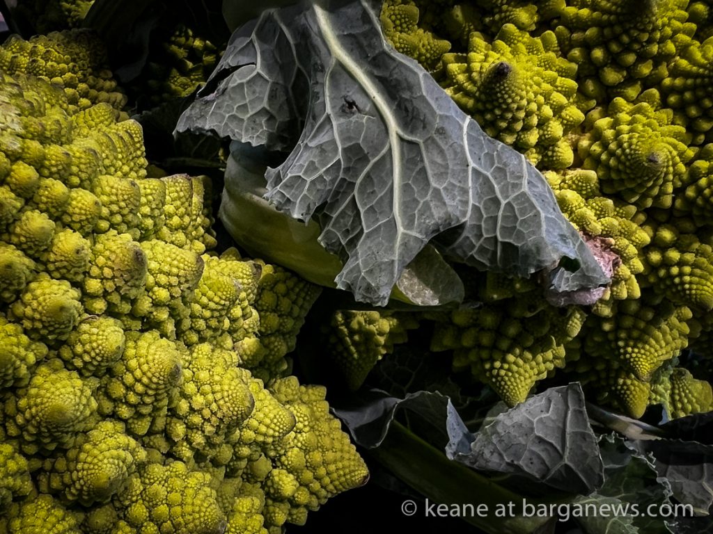 Barga Daily Image 29th April 2023