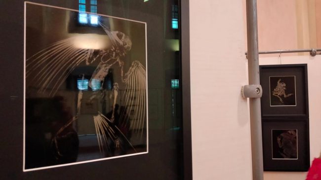 images from barga –2