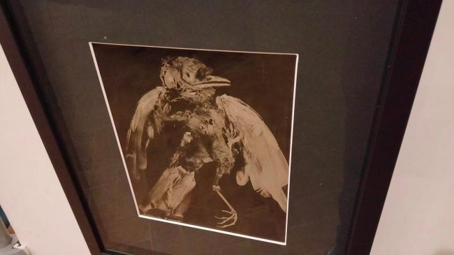 images from barga –4