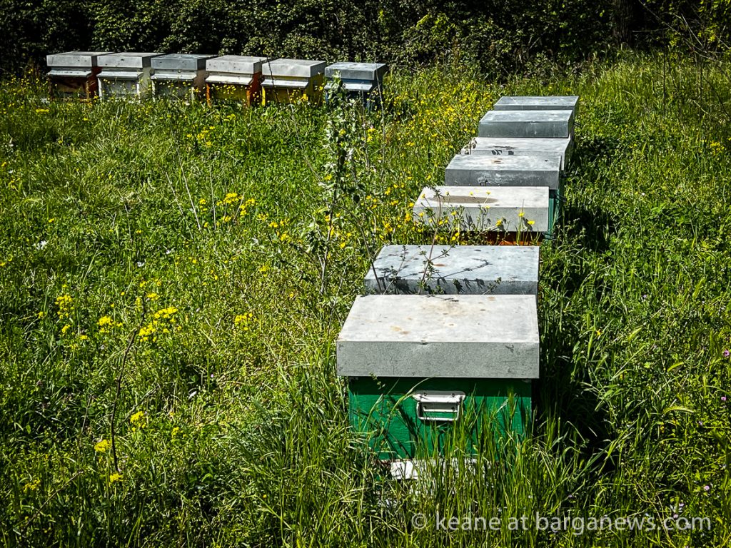 Barga Daily Image 4th May 2023