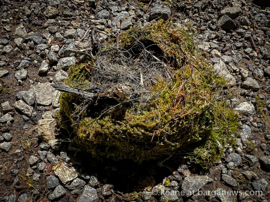 Barga Daily Image 24th May 2023