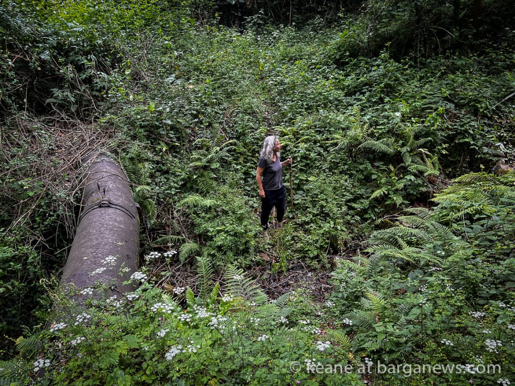 Barga Daily Image 31st May 2023