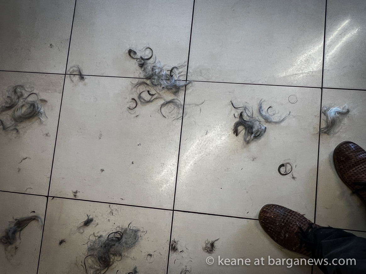 images from barga -6659