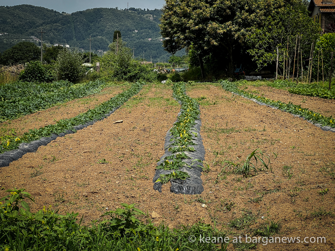 images from barga -7638