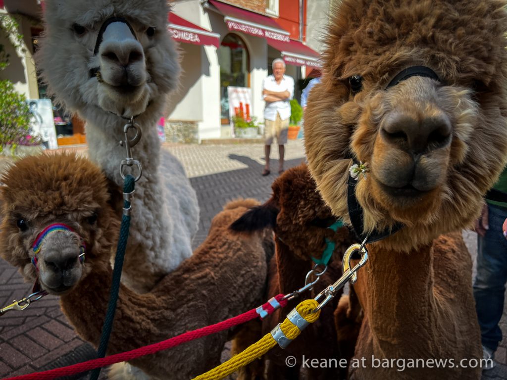 Barga Daily Image 26th June 2023