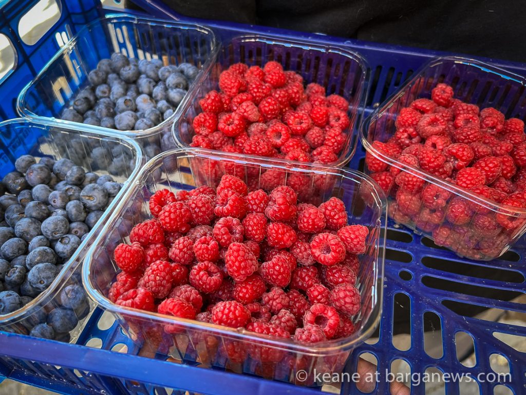 Barga Daily Image 28th June 2023