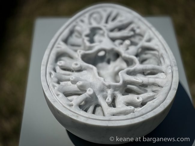 images from barga -7871