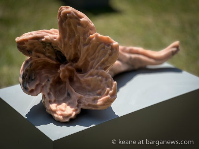 images from barga -7881