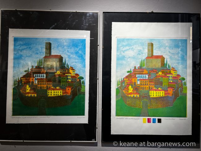 images from barga -8002