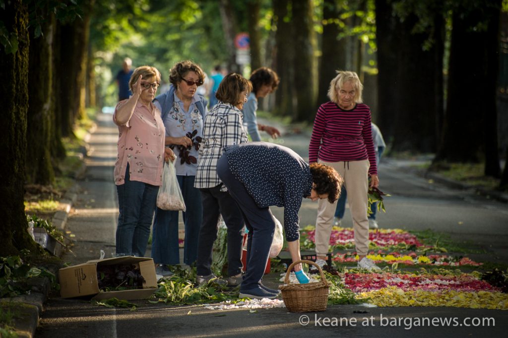 Flowers on the road for Corpus Domini procession