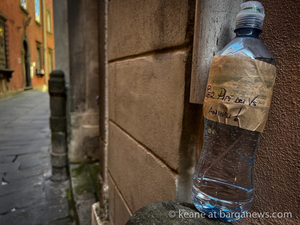 Barga Daily Image 11th July 2023