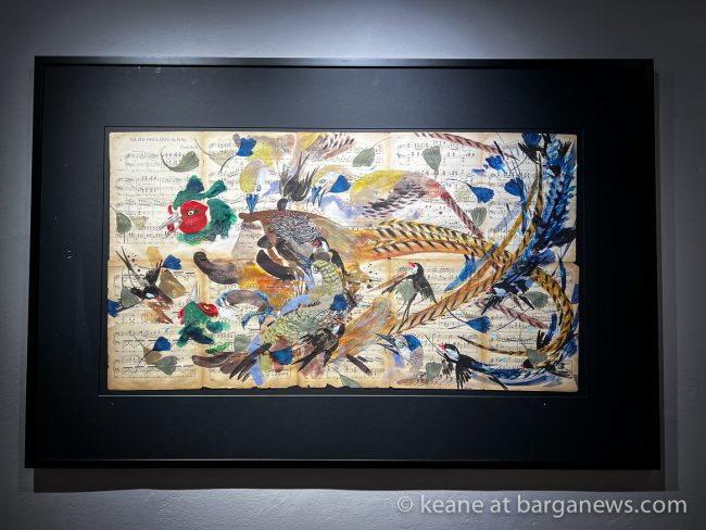 images from barga -9145