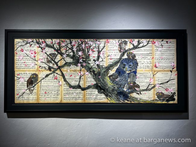 images from barga -9146