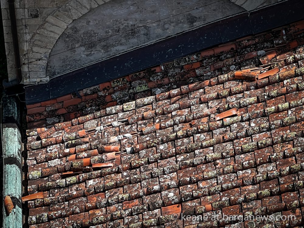 images from barga -9218