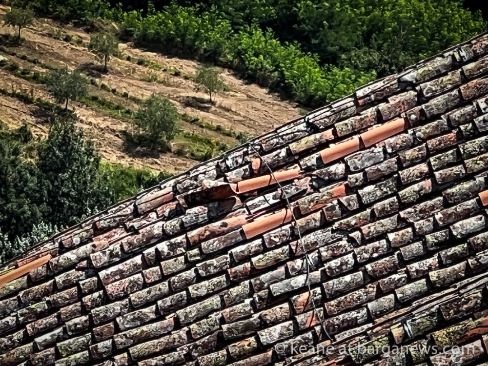 images from barga -9219