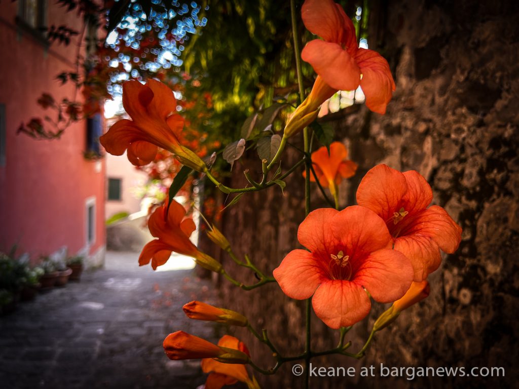 Barga Daily Image 27th July 2023