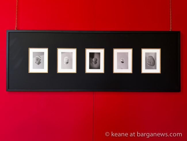 images from barga -9852