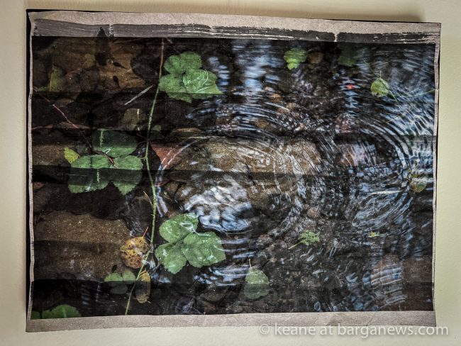 images from barga -9856