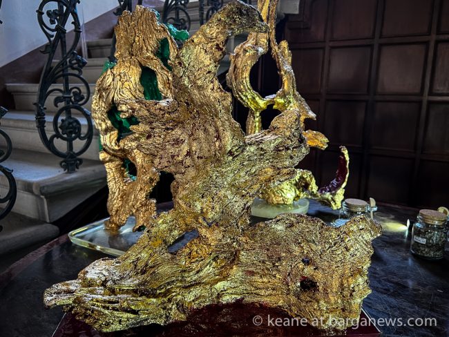 images from barga -9861