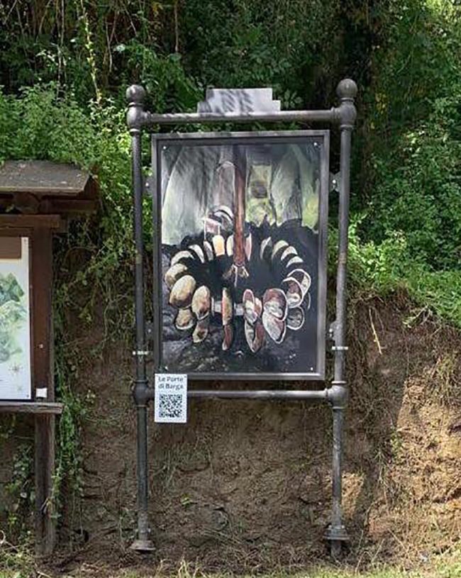 25april barga barganews00002