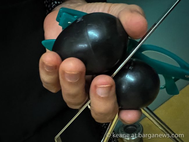 images from barga -10060