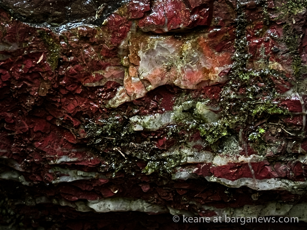 images from barga -10986