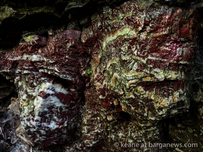 images from barga -10993