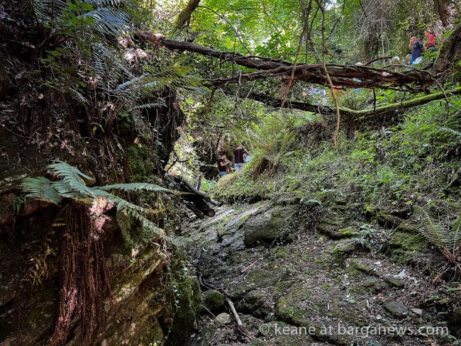 images from barga -10995