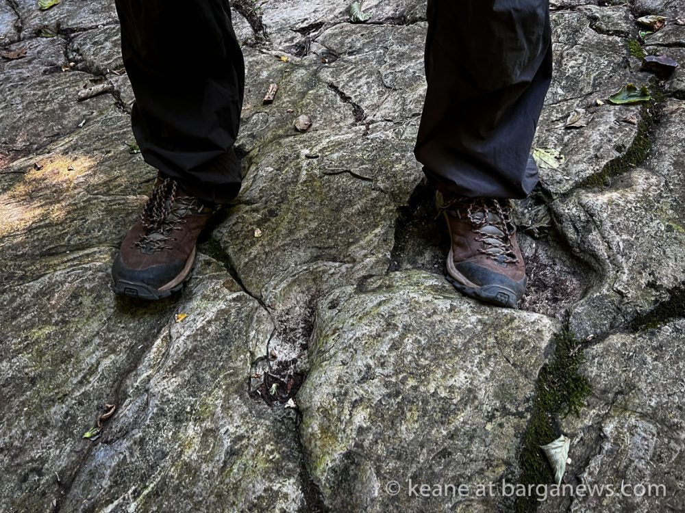 images from barga -11041