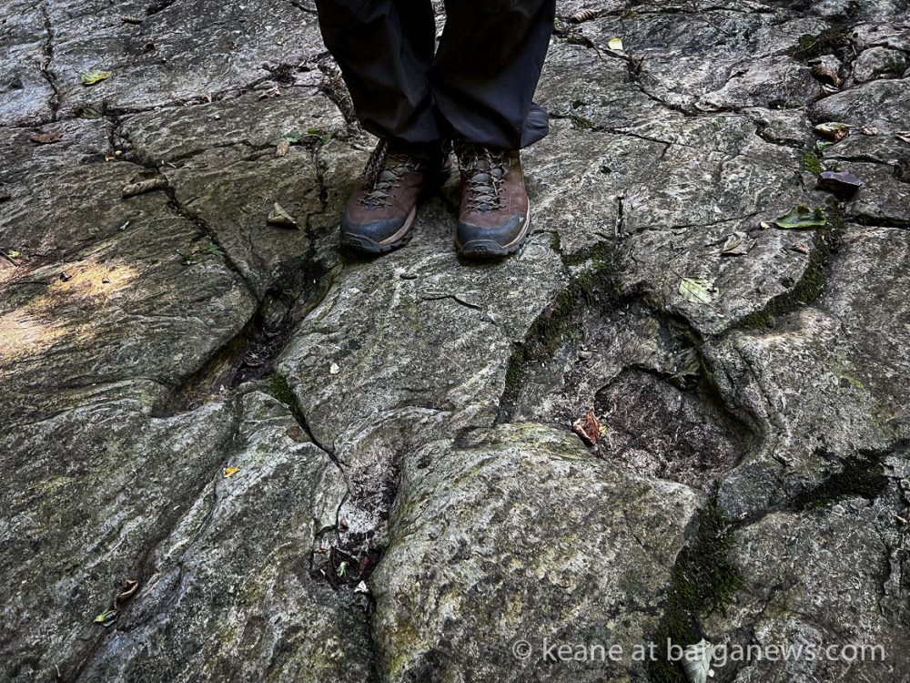 images from barga -11044