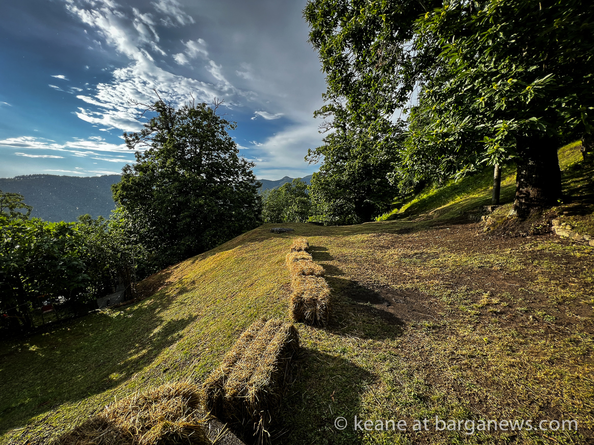 images from barga -11089