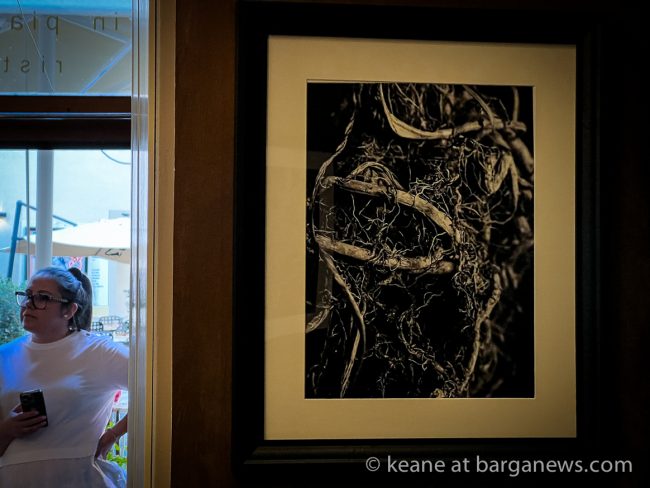 images from barga -12333