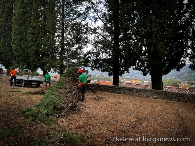 images from barga -12844