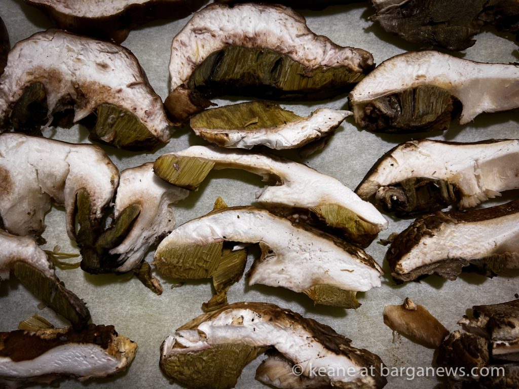 Barga Daily Image 1st September 2023