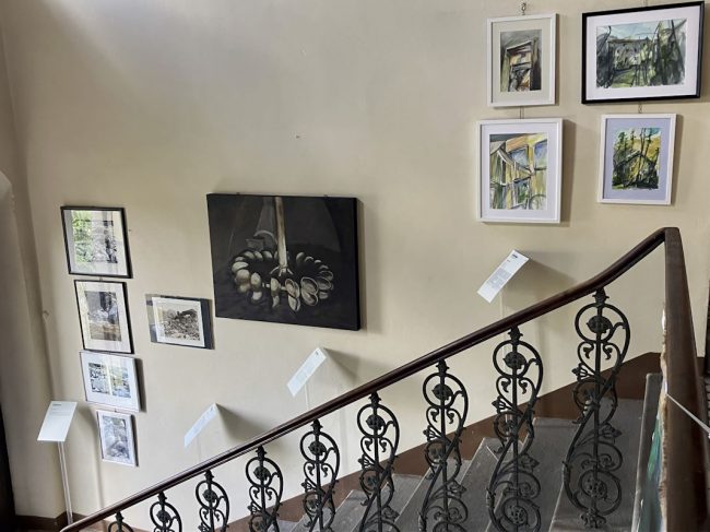 Mostra La Corsonna @FondRicciBarga – scorcio – ph Caterina Salvi