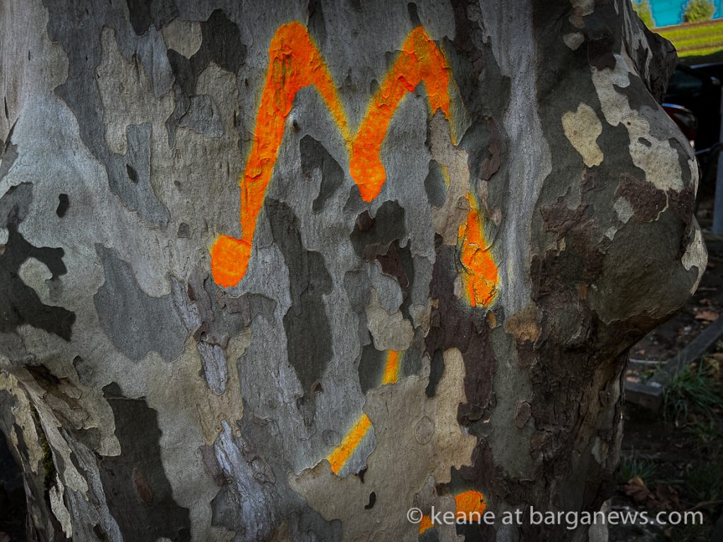 Barga Daily Image 9th September 2023