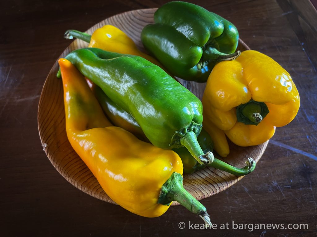 Barga Daily Image 4th September 2023