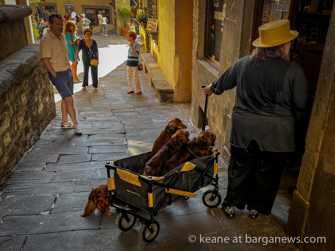 images from barga -13280