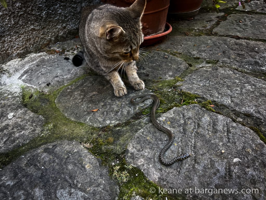 Barga Daily Image 20th September 2023