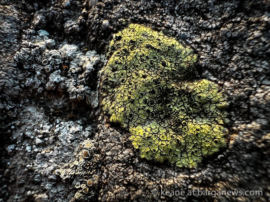 Barga Daily Image 23rd September 2023