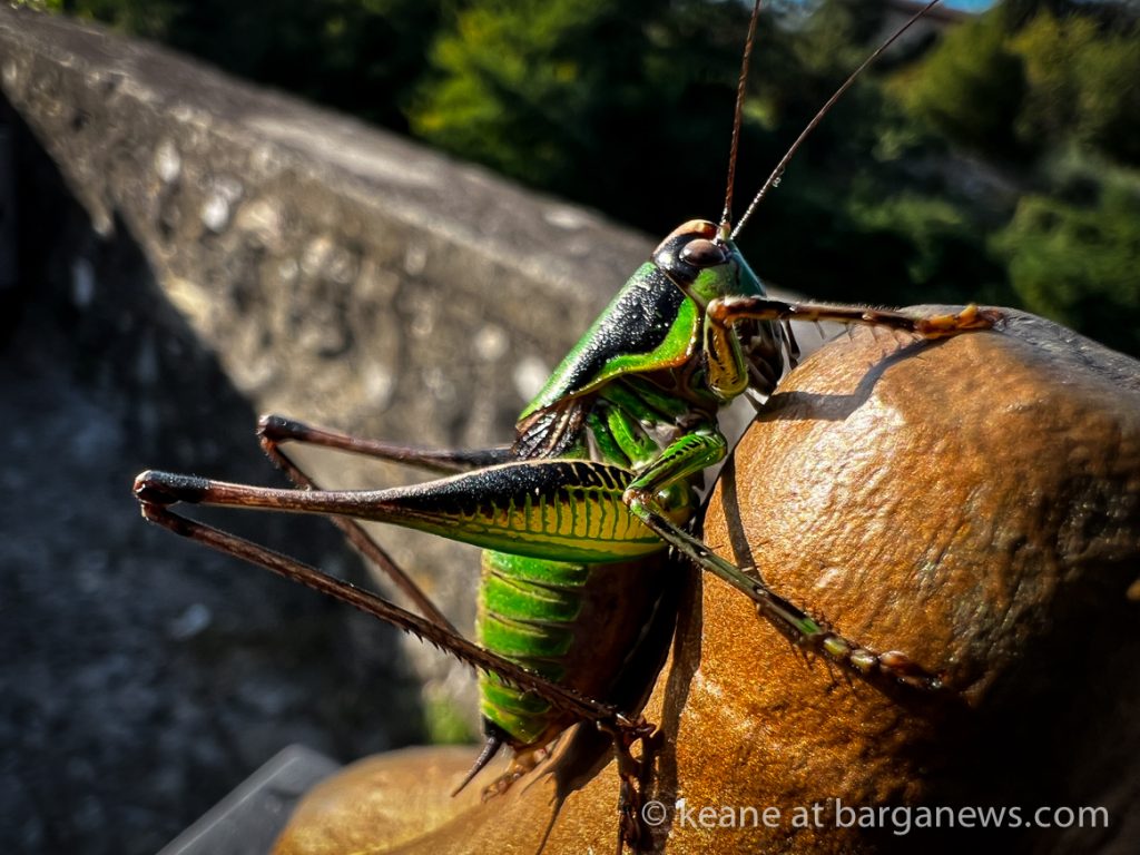 Barga Daily Image 30th September 2023